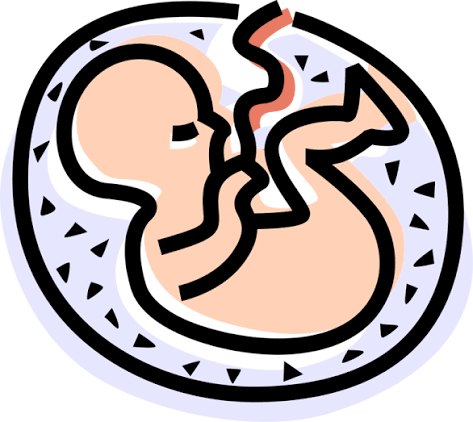 Ethical Abortions