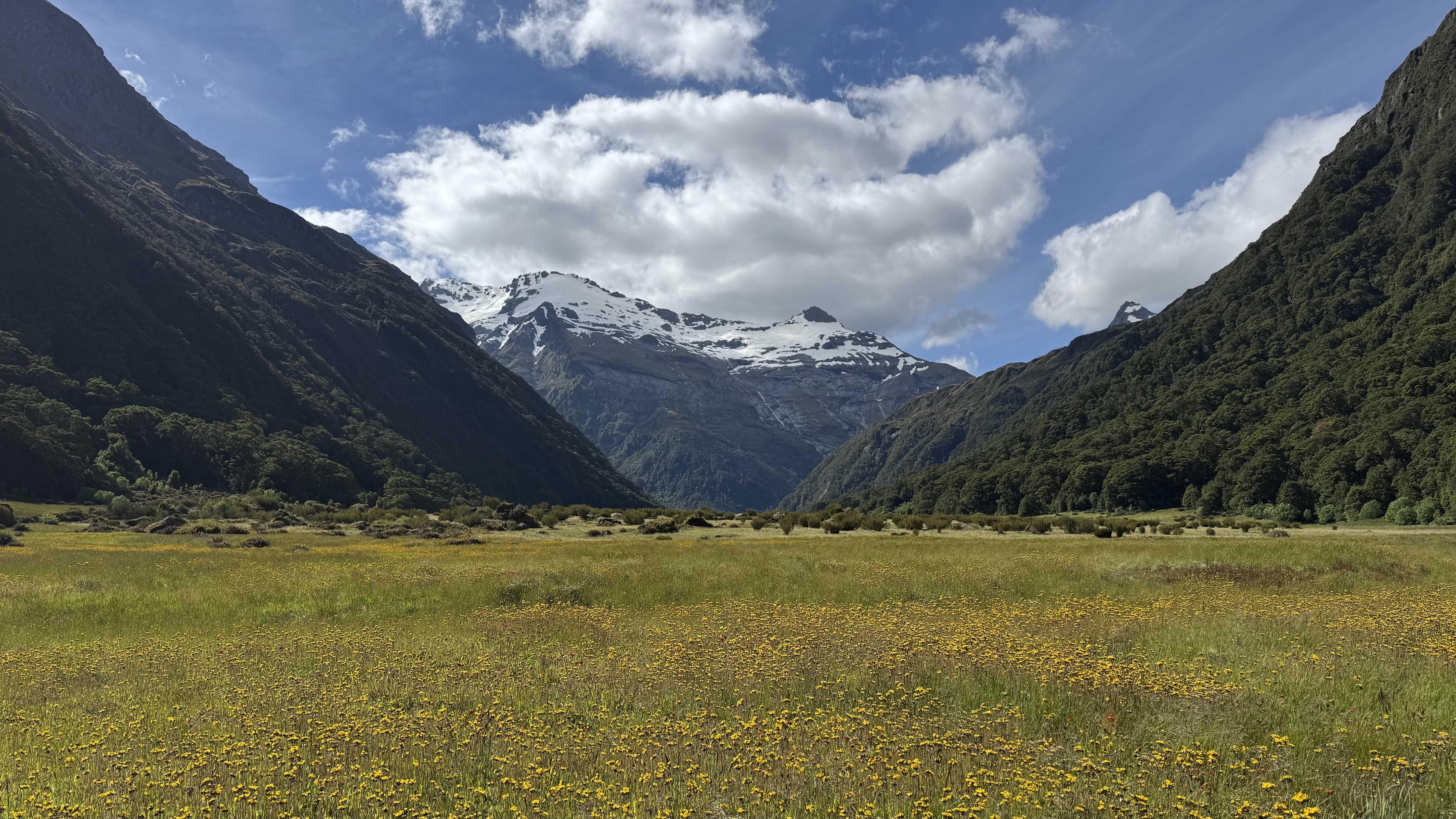 Politics of Tomorrow Submission on the Conservation Amendment Bill