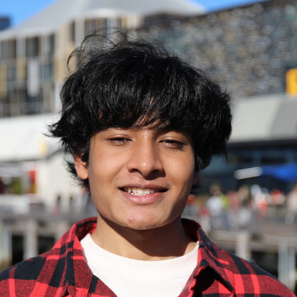 Araav Das roy